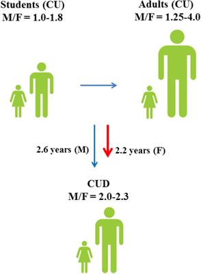 The Modulating Role of Sex and Anabolic-Androgenic Steroid Hormones in Cannabinoid Sensitivity